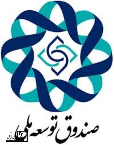 ارائه تسهیلات صندوق توسعه ملی به خرید کالای ایرانی مشروط شود